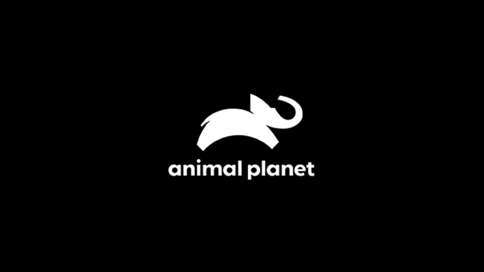 Animal Planet ao vivo,Animal Planet online,assistir Animal Planet,assistir Animal Planet ao vivo,assistir Animal Planet online,Animal Planet gratis,assistir Animal Planet gratis,ao vivo online,ao vivo gratis,ver Animal Planet,ver Animal Planet ao vivo,ver Animal Planet online,24 horas,24h,multicanais,piratetv,piratatvs.com