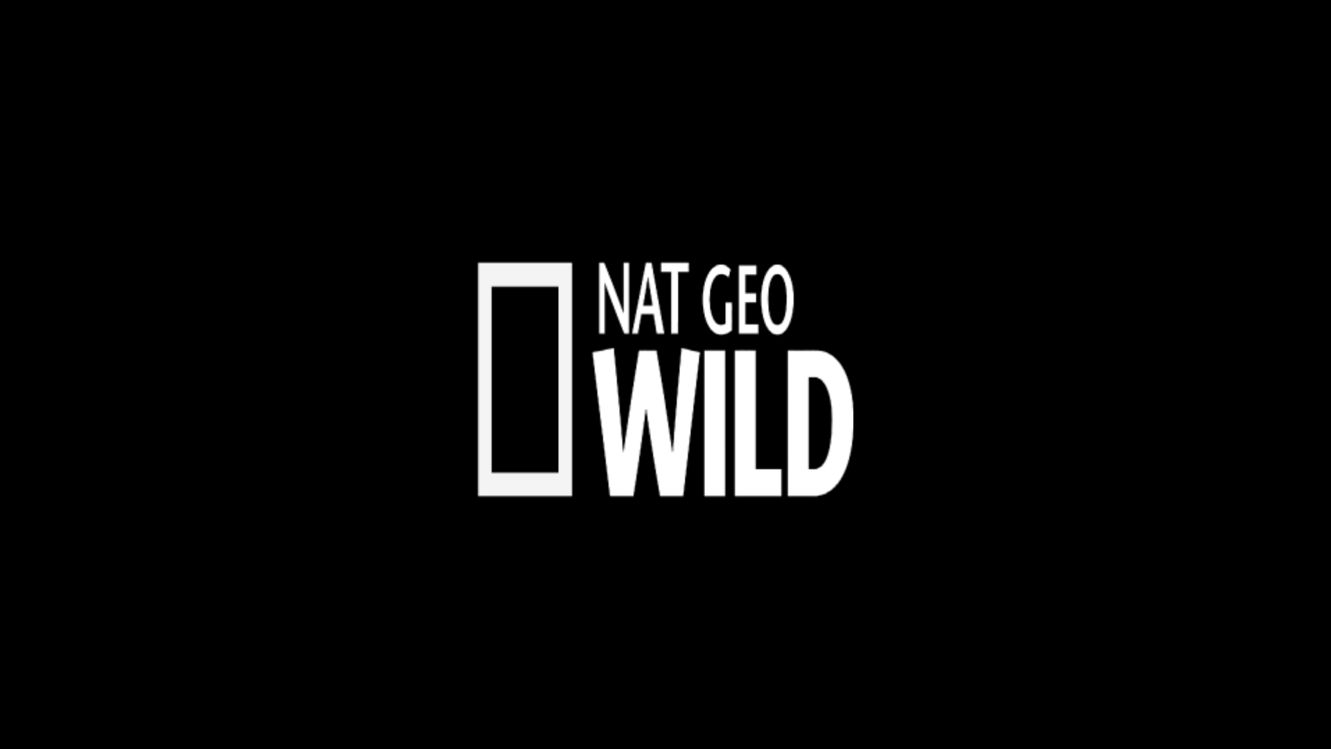 NatGeo Wild ao vivo,NatGeo Wild online,assistir NatGeo Wild,assistir NatGeo Wild ao vivo,assistir NatGeo Wild online,NatGeo Wild gratis,assistir NatGeo Wild gratis,ao vivo online,ao vivo gratis,ver NatGeo Wild,ver NatGeo Wild ao vivo,ver NatGeo Wild online,24 horas,24h,multicanais,piratetv,piratetv.vip